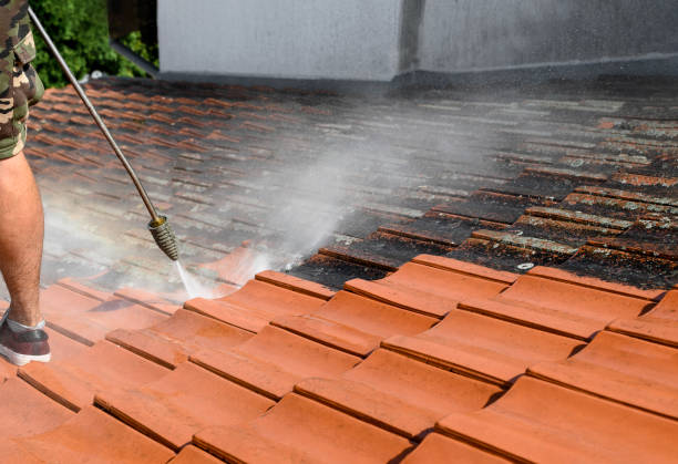 Best Affordable Power Washing  in Orting, WA