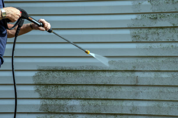Best Pressure Washing Siding  in Orting, WA