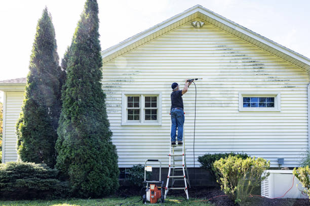 Why Choose Our Certified Pressure Washing Experts for Your Project Needs in Orting, WA?