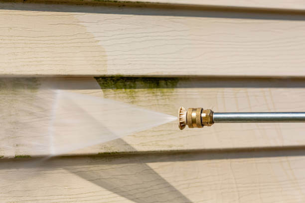 Best Local Pressure Washing Services  in Orting, WA
